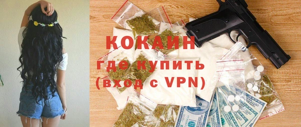 шишки Баксан