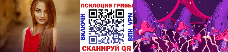 Псилоцибиновые грибы мухоморы  ОМГ ОМГ онион  Новоузенск 